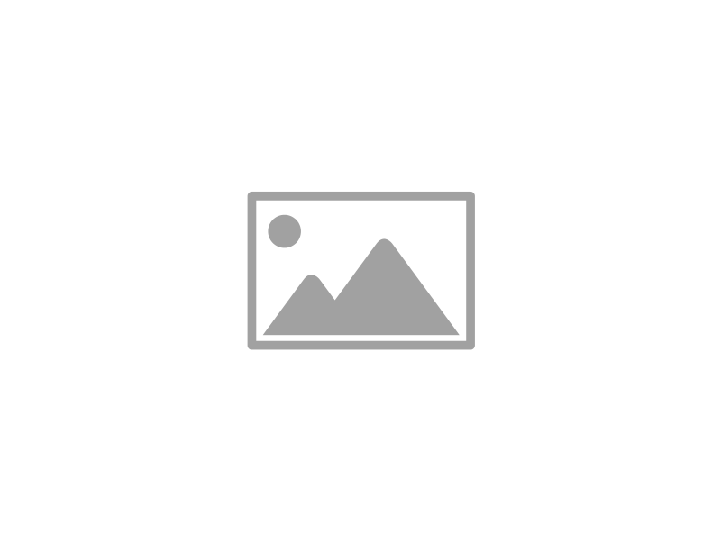 Zuban ki hifazat